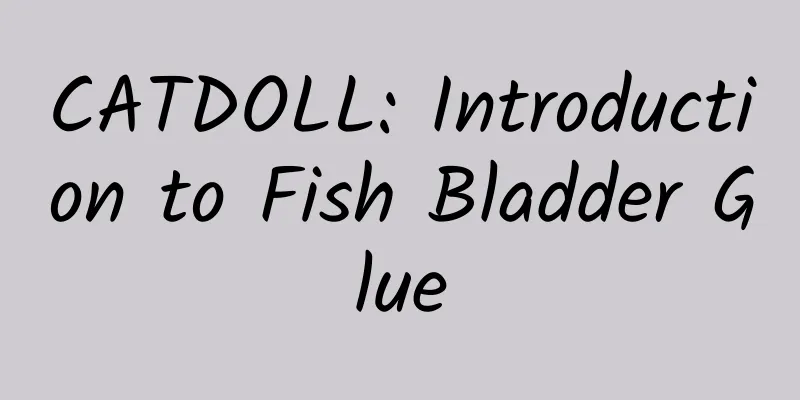 CATDOLL: Introduction to Fish Bladder Glue