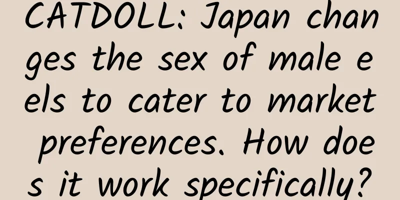 CATDOLL: Japan changes the sex of male eels to cater to market preferences. How does it work specifically?
