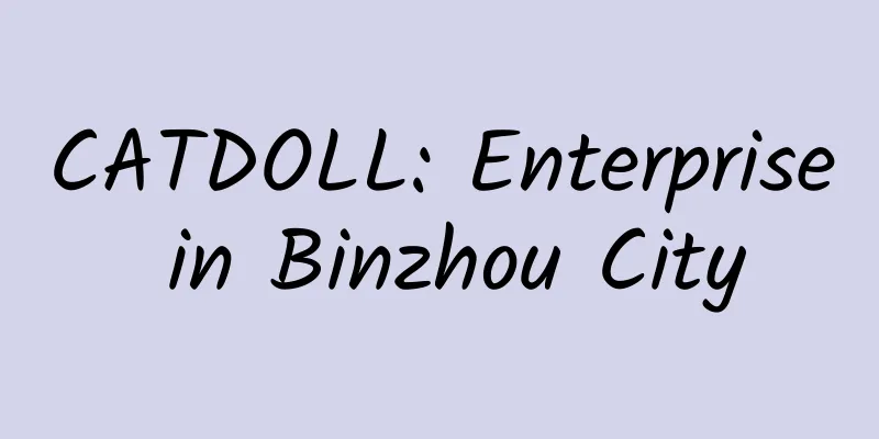CATDOLL: Enterprise in Binzhou City