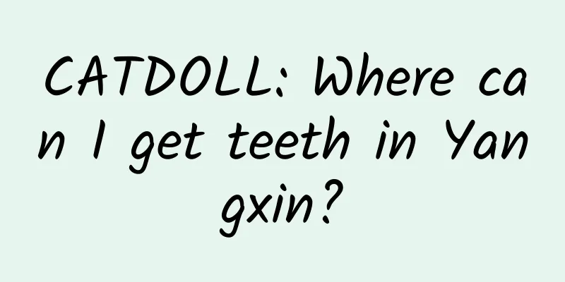 CATDOLL: Where can I get teeth in Yangxin?