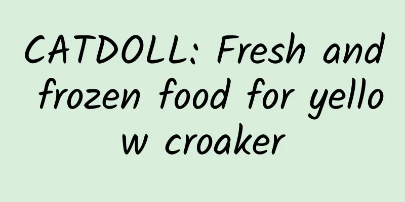 CATDOLL: Fresh and frozen food for yellow croaker