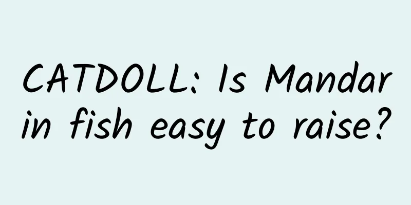 CATDOLL: Is Mandarin fish easy to raise?