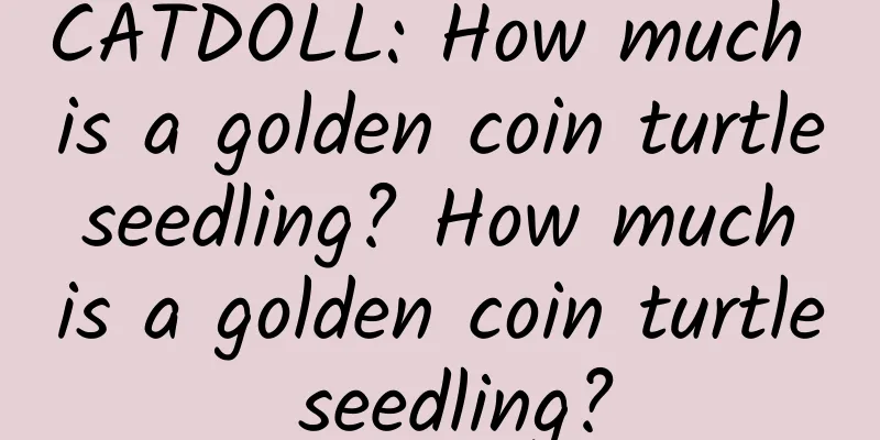 CATDOLL: How much is a golden coin turtle seedling? How much is a golden coin turtle seedling?