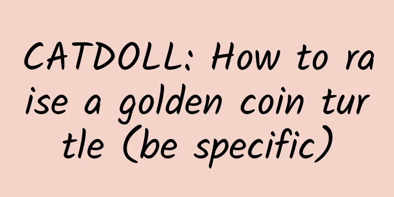 CATDOLL: How to raise a golden coin turtle (be specific)