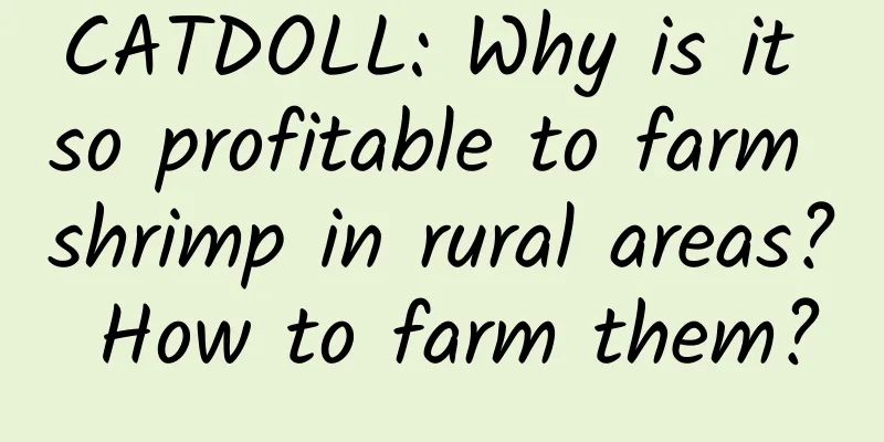 CATDOLL: Why is it so profitable to farm shrimp in rural areas? How to farm them?