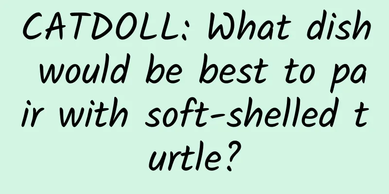 CATDOLL: What dish would be best to pair with soft-shelled turtle?