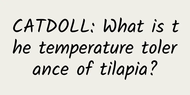 CATDOLL: What is the temperature tolerance of tilapia?