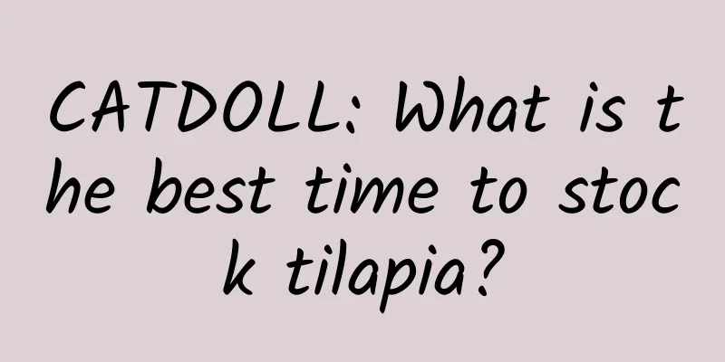 CATDOLL: What is the best time to stock tilapia?