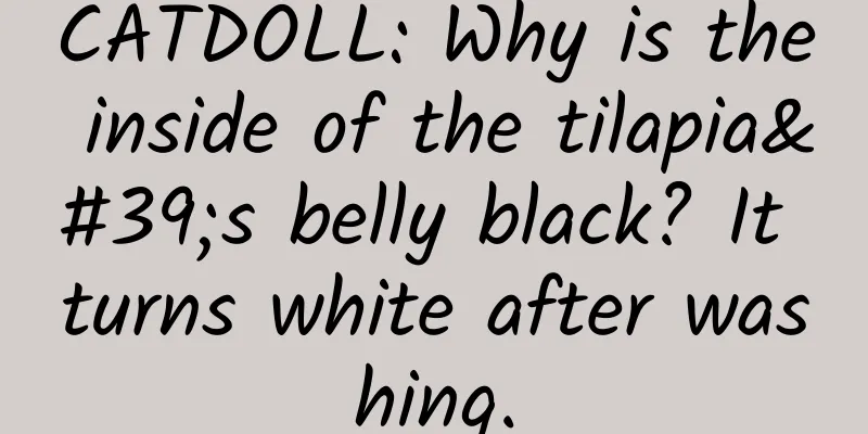 CATDOLL: Why is the inside of the tilapia's belly black? It turns white after washing.