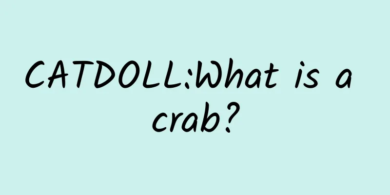 CATDOLL:What is a crab?