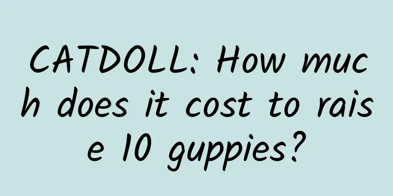 CATDOLL: How much does it cost to raise 10 guppies?