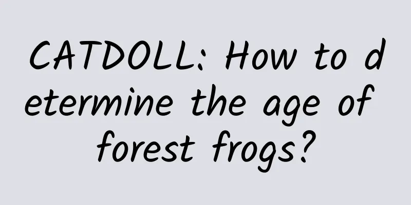 CATDOLL: How to determine the age of forest frogs?