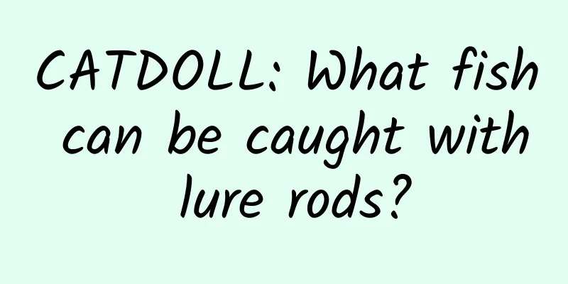 CATDOLL: What fish can be caught with lure rods?