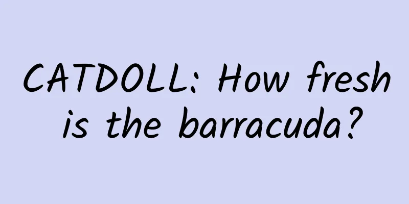 CATDOLL: How fresh is the barracuda?