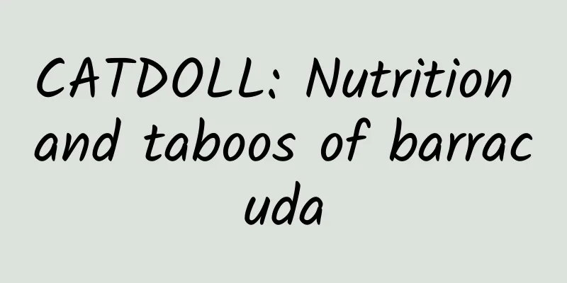 CATDOLL: Nutrition and taboos of barracuda