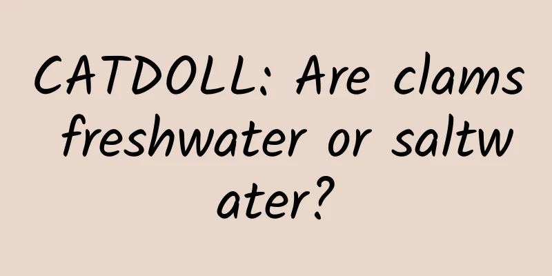 CATDOLL: Are clams freshwater or saltwater?