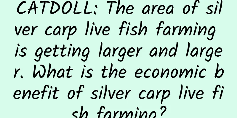 CATDOLL: The area of ​​silver carp live fish farming is getting larger and larger. What is the economic benefit of silver carp live fish farming?