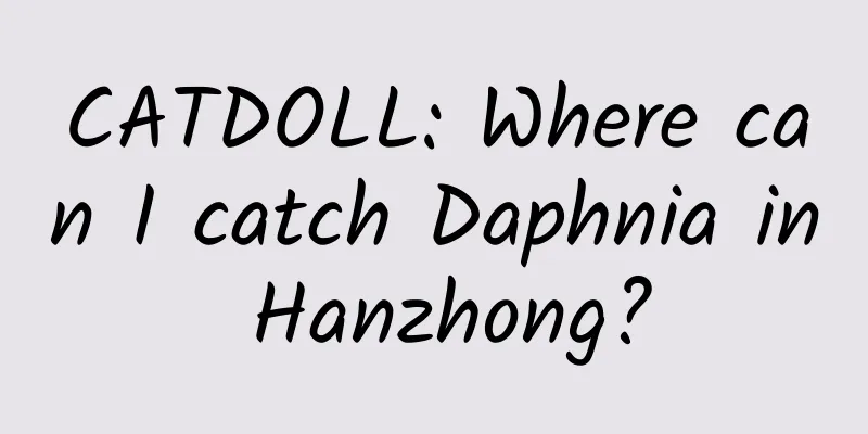 CATDOLL: Where can I catch Daphnia in Hanzhong?