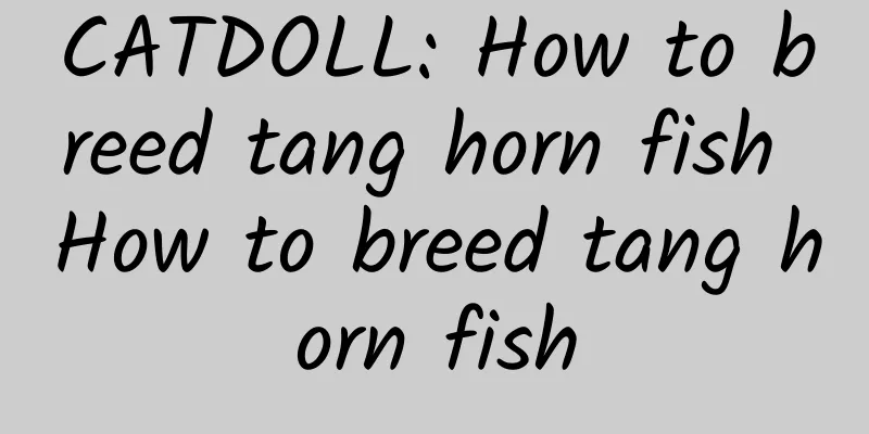 CATDOLL: How to breed tang horn fish How to breed tang horn fish