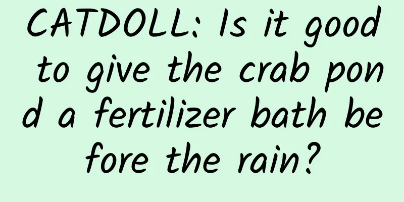 CATDOLL: Is it good to give the crab pond a fertilizer bath before the rain?