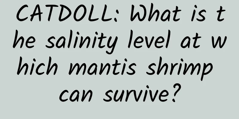 CATDOLL: What is the salinity level at which mantis shrimp can survive?