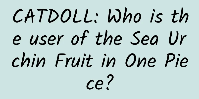 CATDOLL: Who is the user of the Sea Urchin Fruit in One Piece?