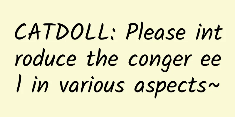 CATDOLL: Please introduce the conger eel in various aspects~