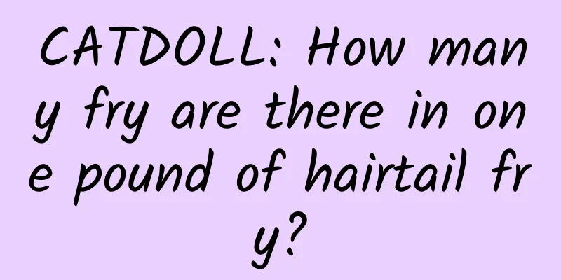 CATDOLL: How many fry are there in one pound of hairtail fry?