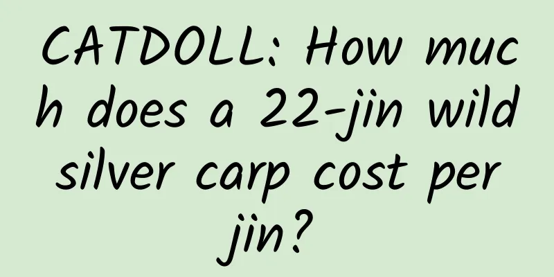 CATDOLL: How much does a 22-jin wild silver carp cost per jin?