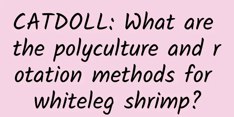 CATDOLL: What are the polyculture and rotation methods for whiteleg shrimp?