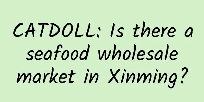 CATDOLL: Is there a seafood wholesale market in Xinming?