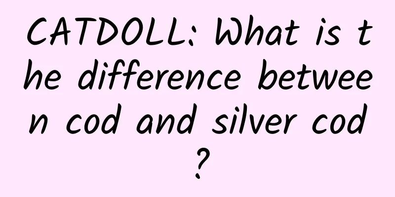 CATDOLL: What is the difference between cod and silver cod?