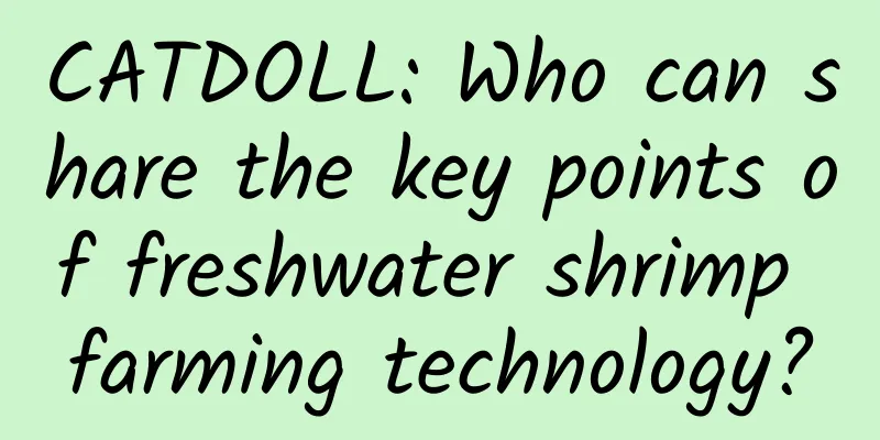 CATDOLL: Who can share the key points of freshwater shrimp farming technology?