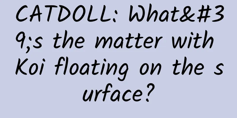 CATDOLL: What's the matter with Koi floating on the surface?