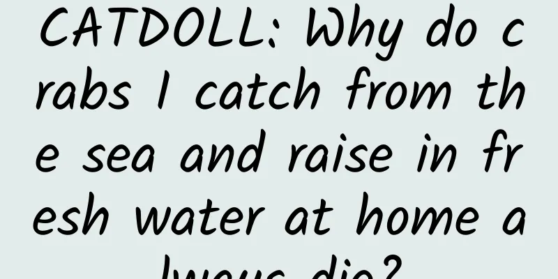 CATDOLL: Why do crabs I catch from the sea and raise in fresh water at home always die?