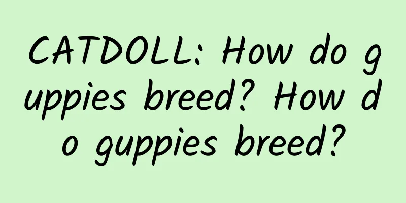 CATDOLL: How do guppies breed? How do guppies breed?
