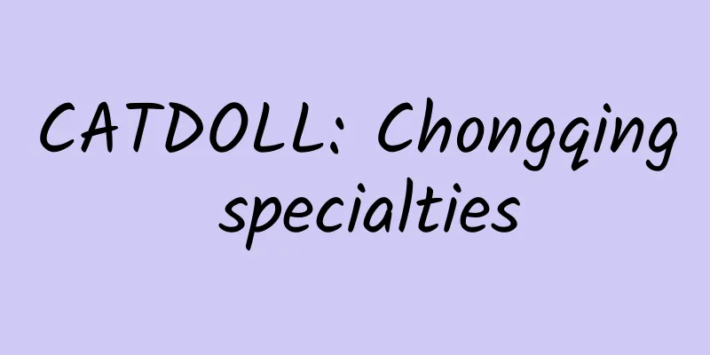 CATDOLL: Chongqing specialties