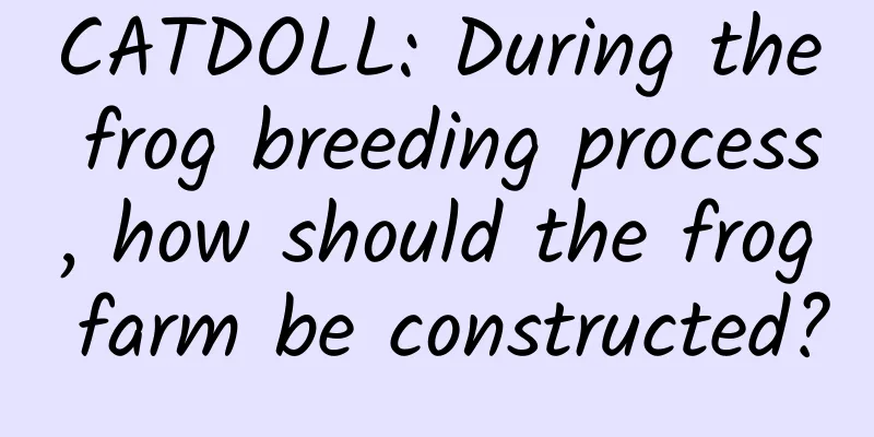 CATDOLL: During the frog breeding process, how should the frog farm be constructed?