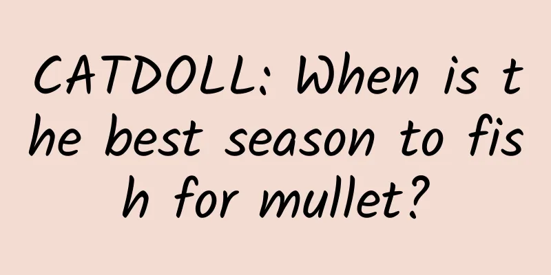 CATDOLL: When is the best season to fish for mullet?