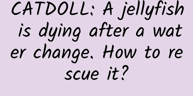 CATDOLL: A jellyfish is dying after a water change. How to rescue it?