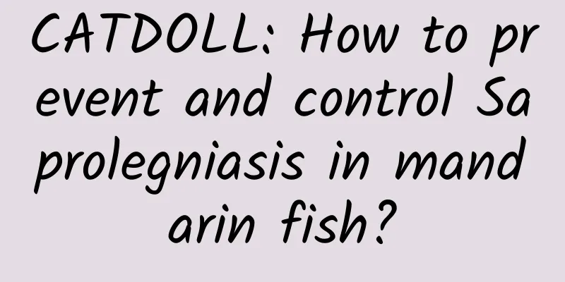 CATDOLL: How to prevent and control Saprolegniasis in mandarin fish?