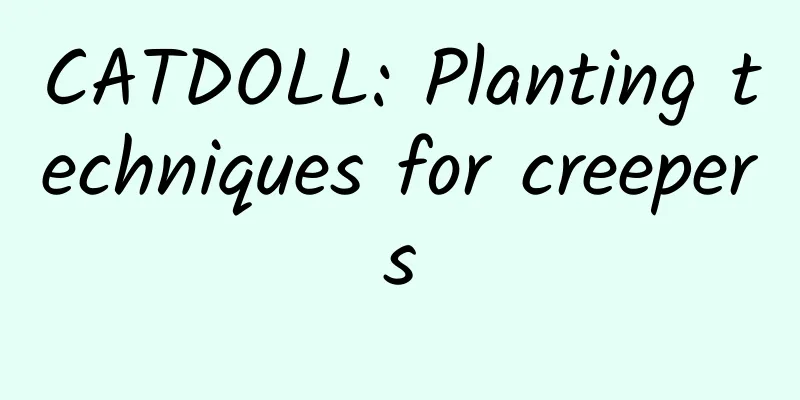 CATDOLL: Planting techniques for creepers