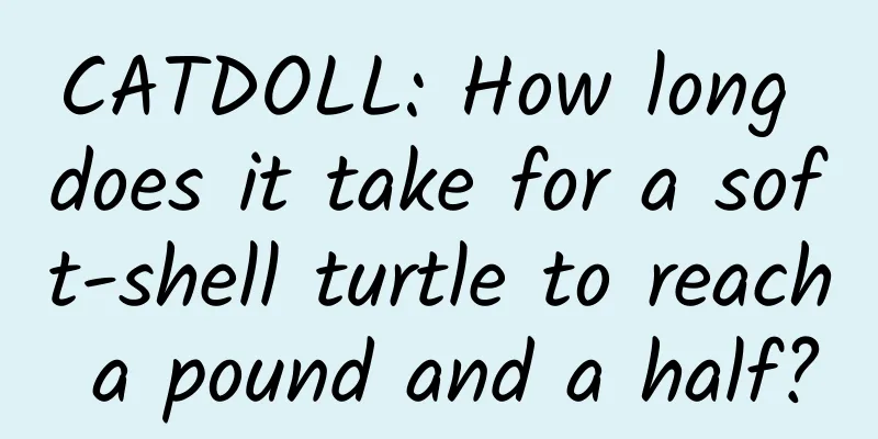 CATDOLL: How long does it take for a soft-shell turtle to reach a pound and a half?