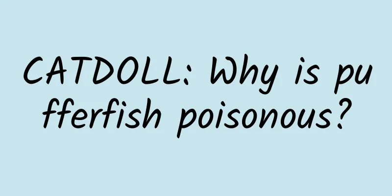 CATDOLL: Why is pufferfish poisonous?