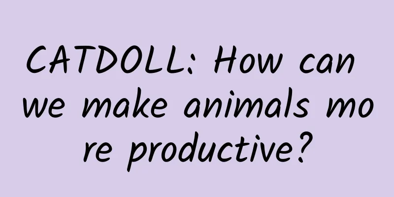 CATDOLL: How can we make animals more productive?
