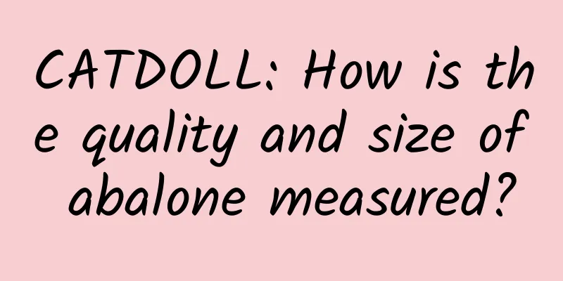 CATDOLL: How is the quality and size of abalone measured?