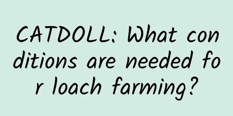 CATDOLL: What conditions are needed for loach farming?