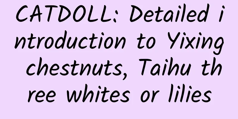 CATDOLL: Detailed introduction to Yixing chestnuts, Taihu three whites or lilies