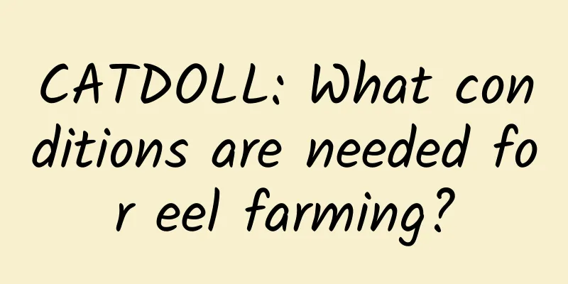 CATDOLL: What conditions are needed for eel farming?