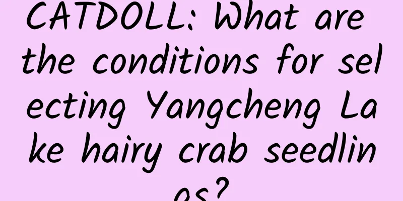 CATDOLL: What are the conditions for selecting Yangcheng Lake hairy crab seedlings?